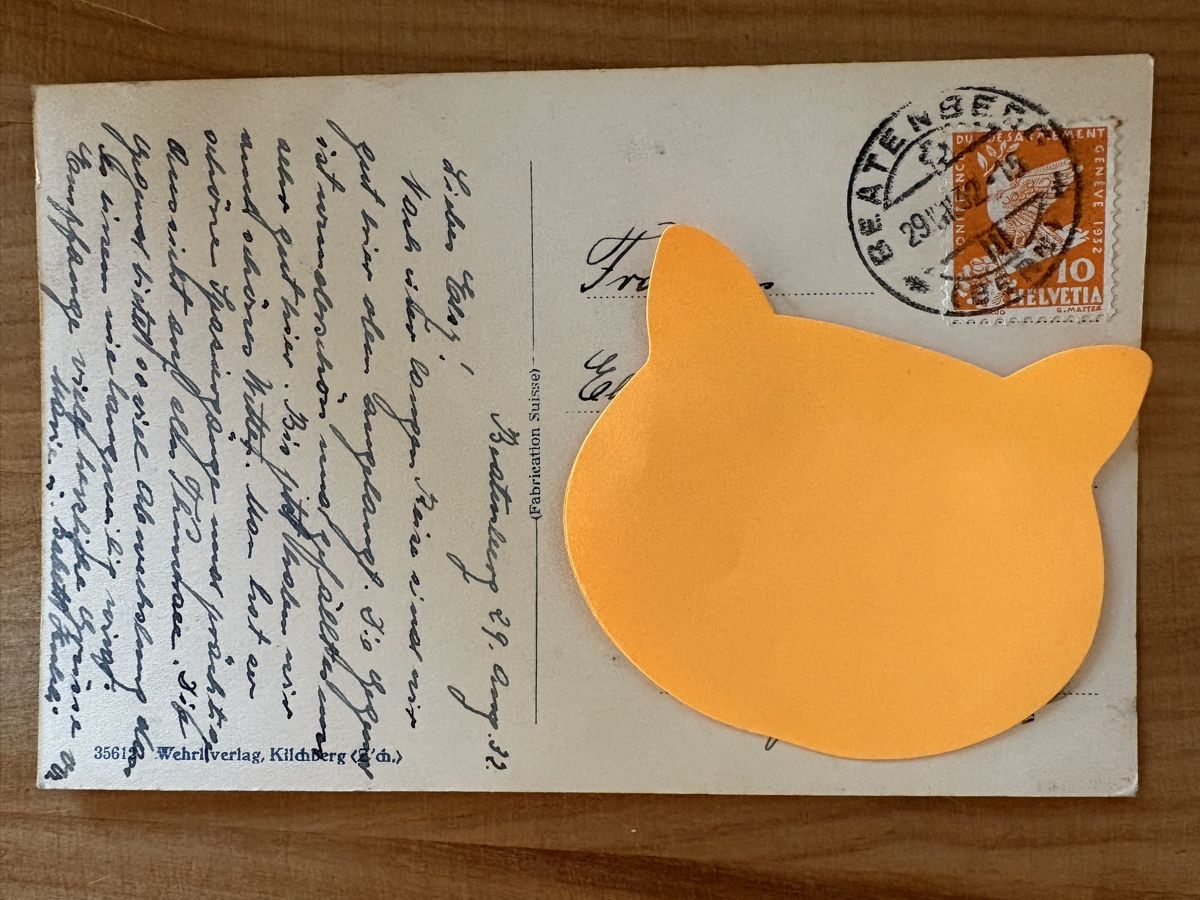 Cartoline postali: AK von Hotel Schönegg / St Beatenberg – Usato da Rümlang venduto da Kartenpost1 1