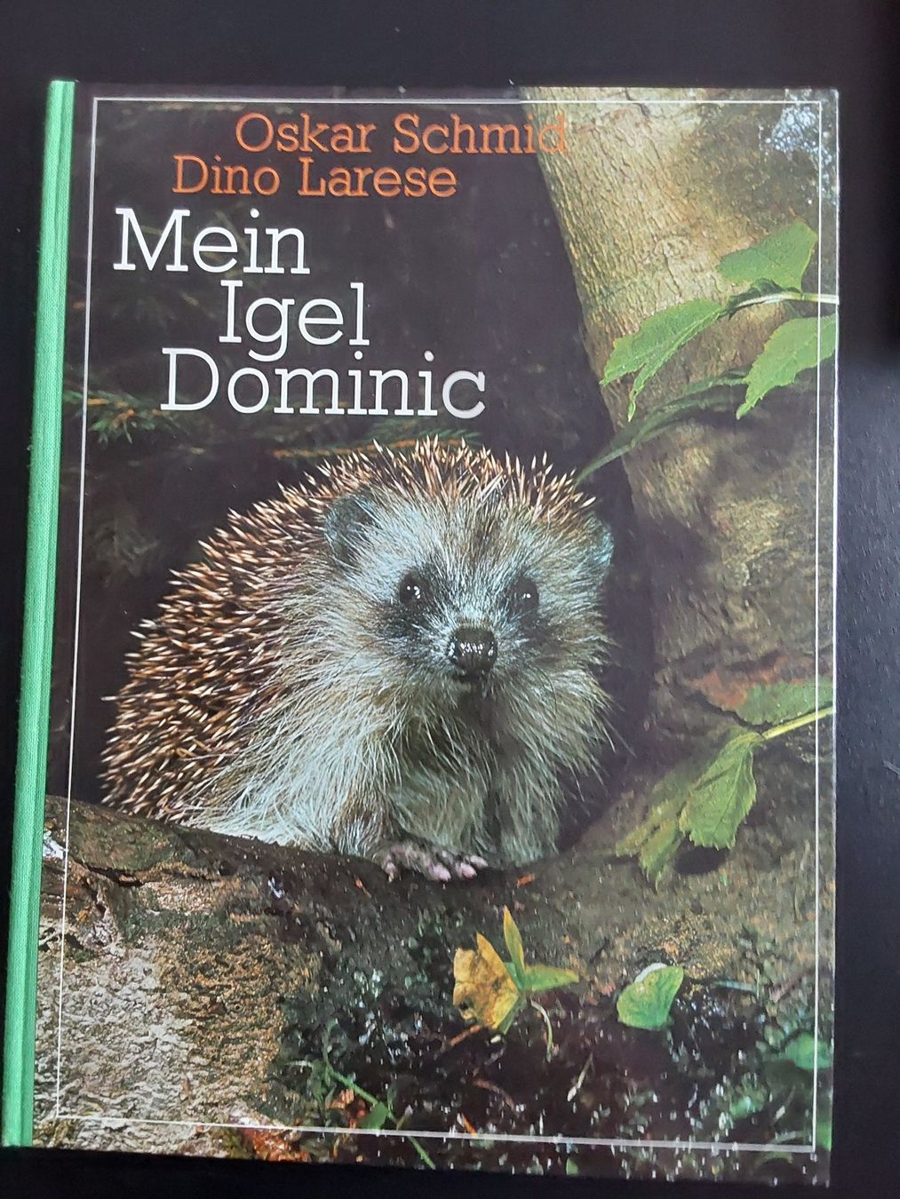 Bücher: Kunstbücher. 8x zusammen. – Gebraucht aus Steinach von  2