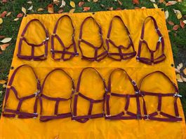 10 schöne Nylonhalftern