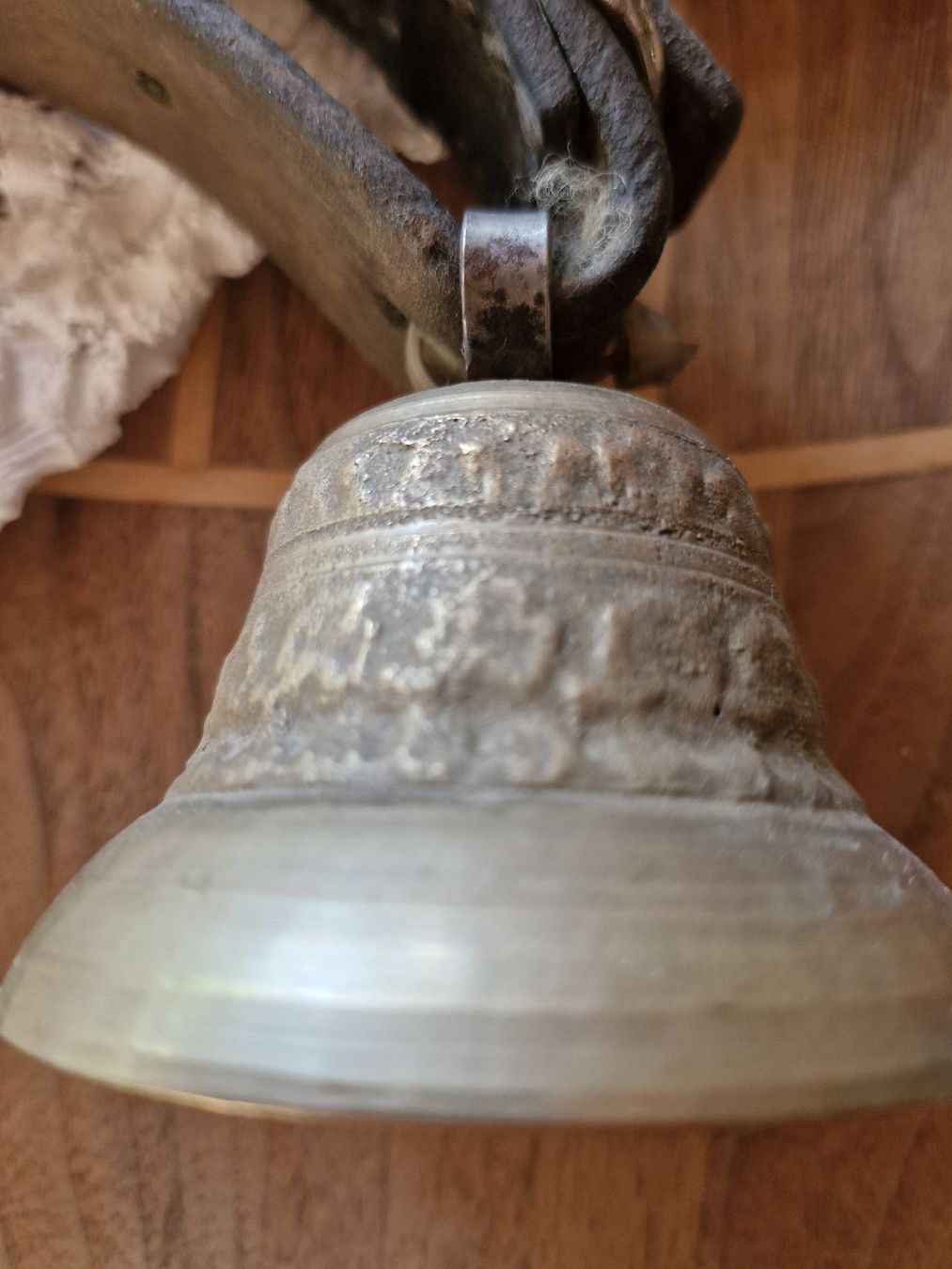 Campanacci mucche: Ziegen-Schafglöggli  – Usato da Guarda venduto da rue_bpd7 1
