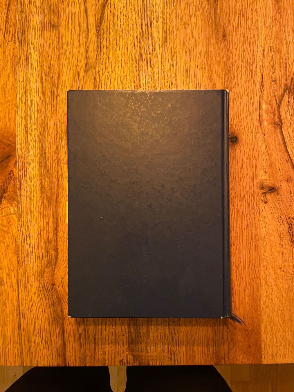 Libri: Staatsrecht Buch - Juristisches Lehrbuch – Usato da Einsiedeln venduto da loubi02 1