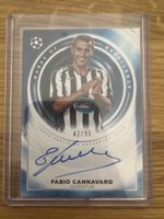 Fabio Cannavaro Marks of excellence 42/99