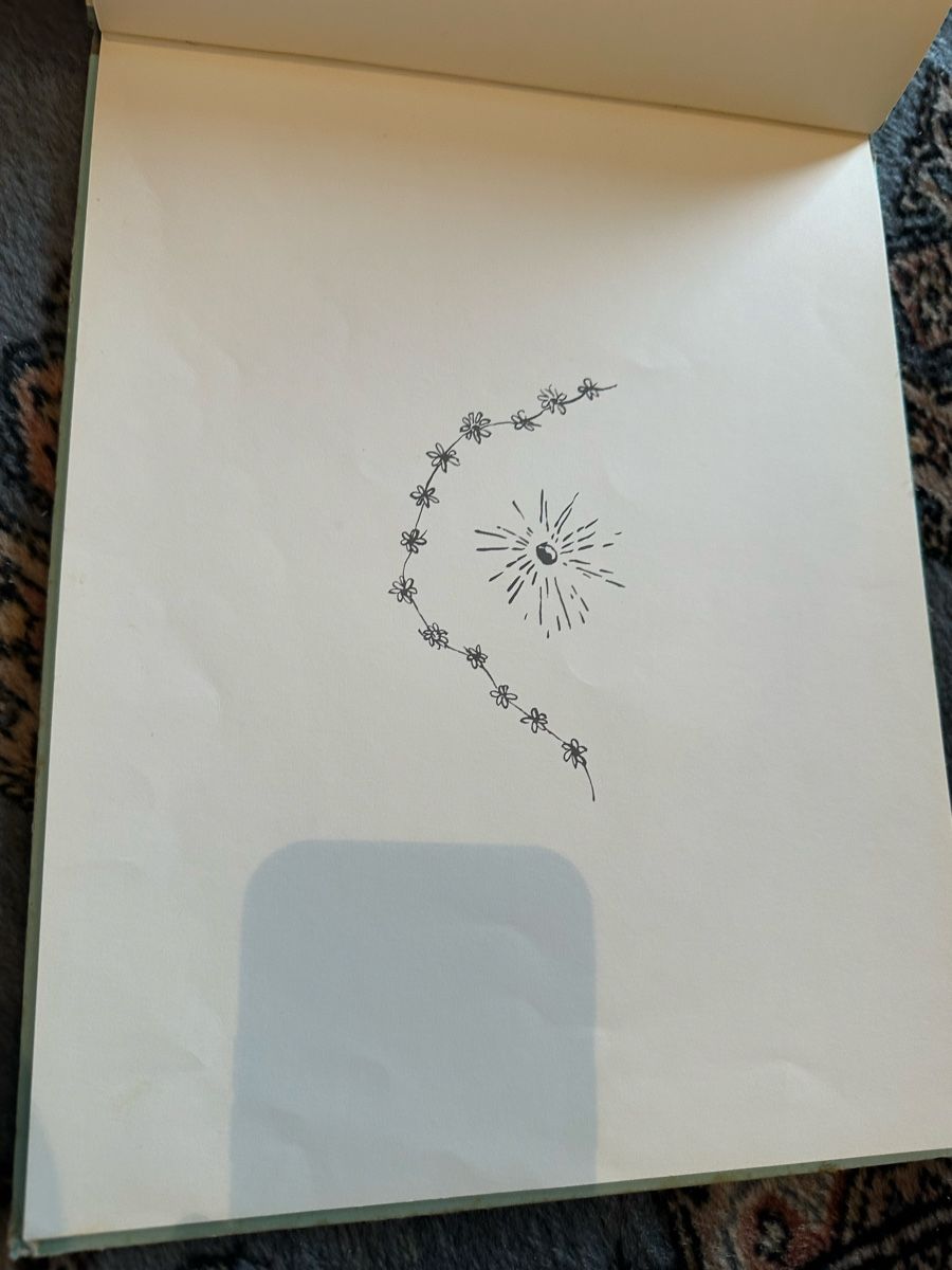 Libri: Flurina und wildvöglein – Usato da Uster venduto da bek_v2ct 3
