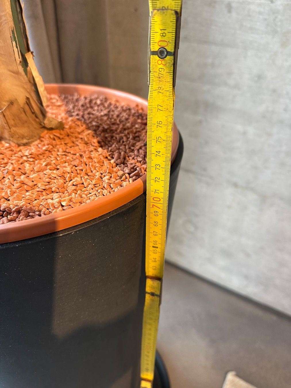 Vasi per fiori: Pflanzentopf Ecopots 70x31cm – Usato da Zürich venduto da fra_6fph 2