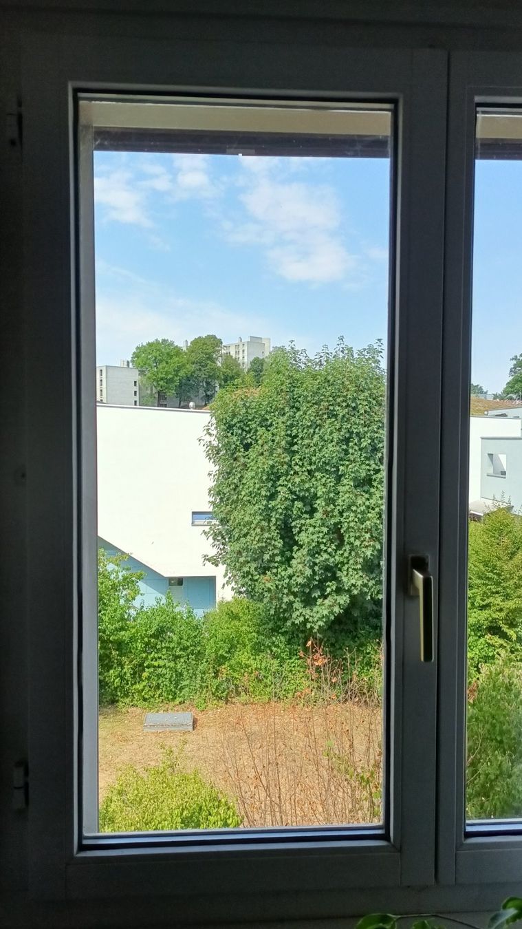 Finestre: 9 Fensterflügel – Usato da Dättwil AG venduto da PorscheFans 2