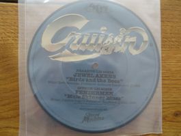 Cruisin' Picture Disc Vinyl Single – Sammlerstück Rarität