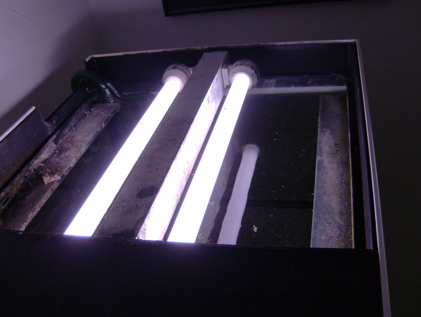 Aquarium: Aquarium Kompl. mit Möbel / Filter / Heizung ab 1.- !!!!!!!! – Gebraucht aus rorschach von fut_bpw5 3