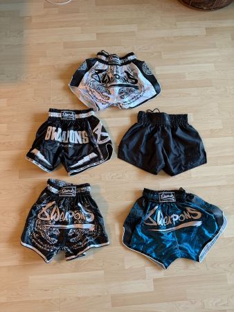 Muay Thai Shorts von M bis XXL