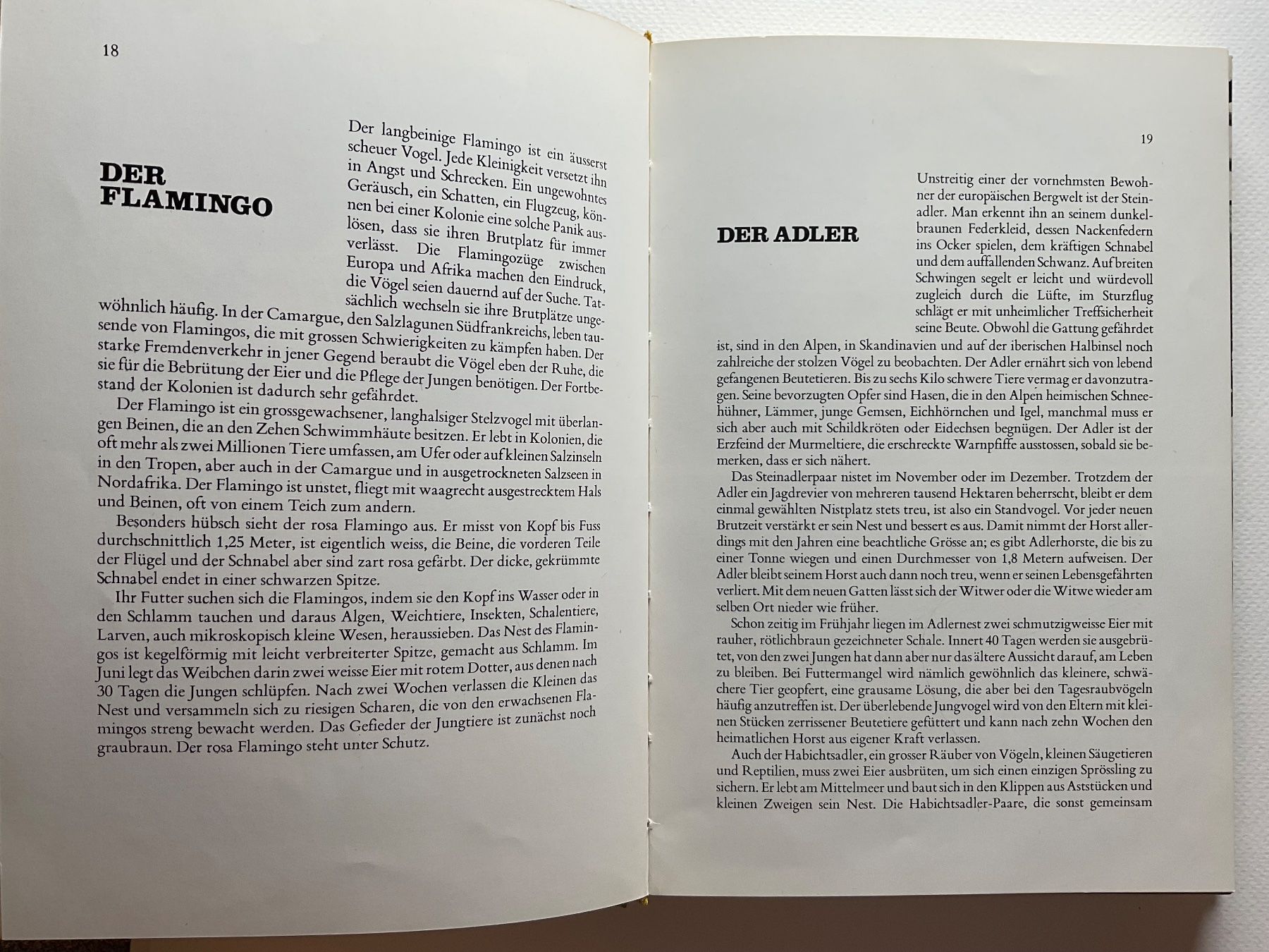 Libri: Tierkinder - Max Derner, Rarität – Nuovo (secondo la descrizione) da Meggen venduto da BookRevivals 3