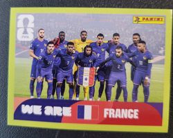 Panini - FRA 13