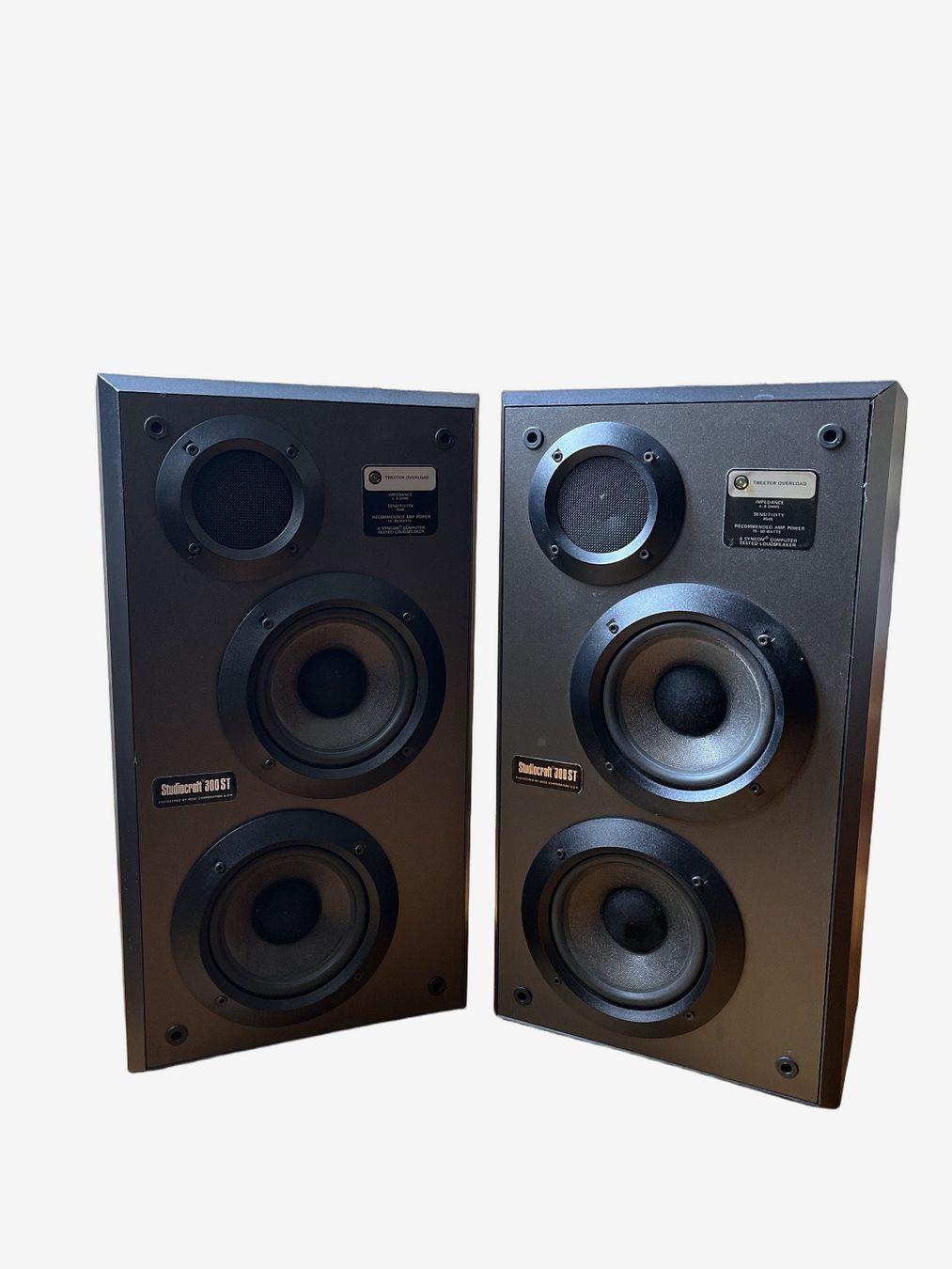 Haut-parleurs: Hauts-parleurs vintage Studiocraft 300ST – D'occasion à Morges par tresorio 1