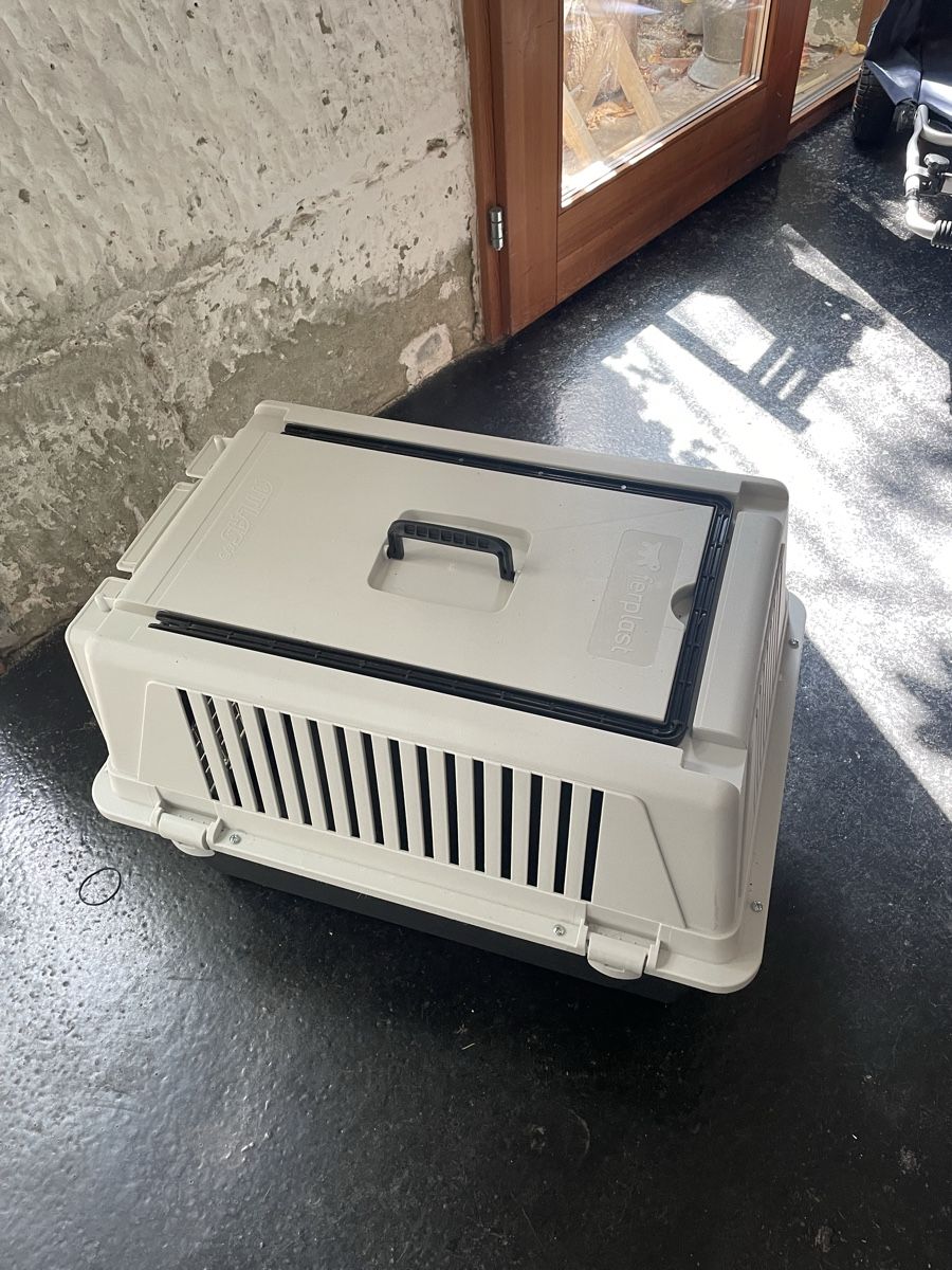 Sonstige Dekorationen & Accessoires: Hundebox – Gebraucht aus Bern von Belize08 1