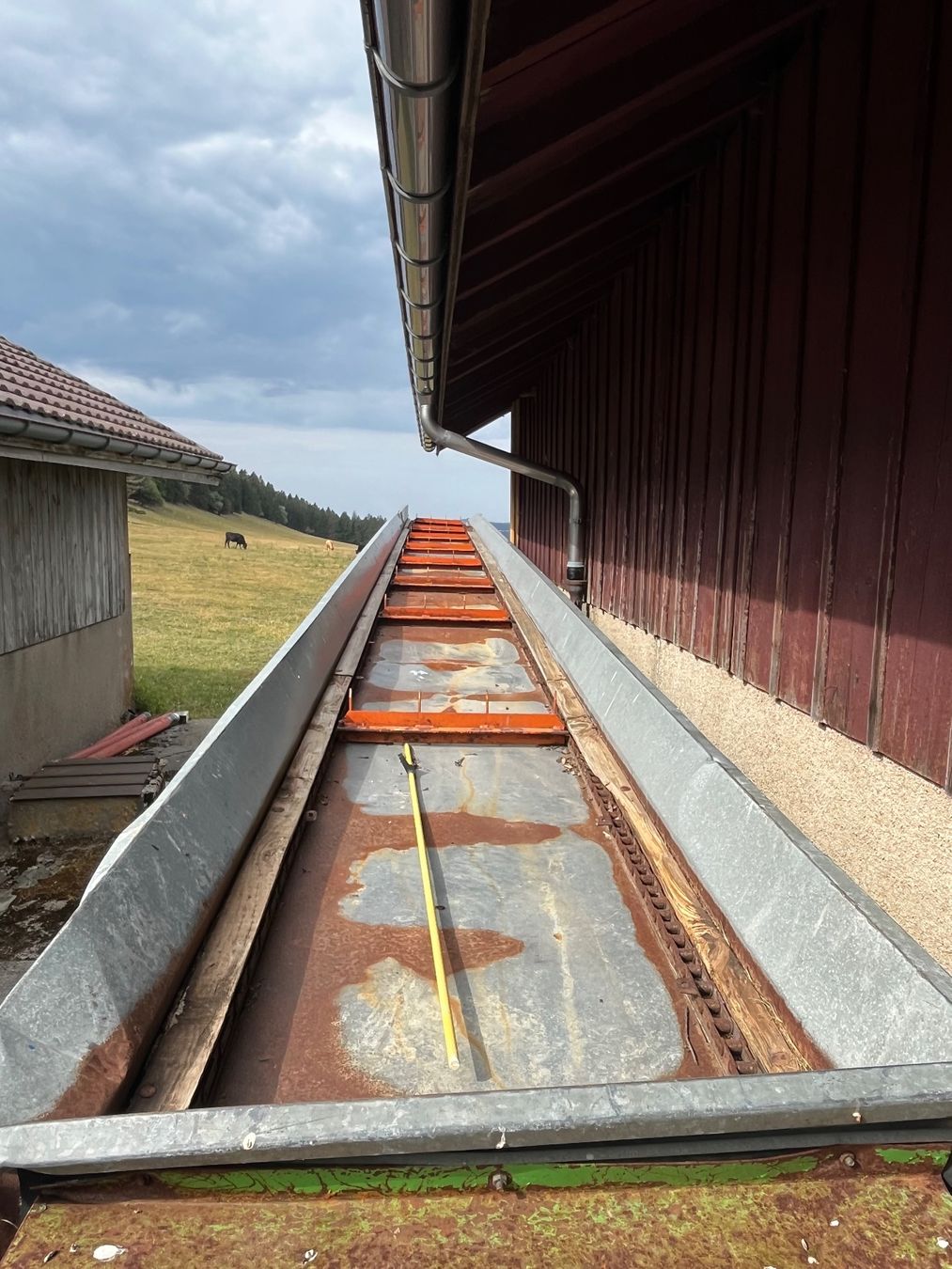 Remorques autochargeuses/d'ensilage: Tapis – D'occasion à la vue des Alpes par les_ty8p 3