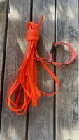 Schleppleine + Halsband, orange, 10m