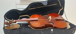 4/4 Barock Cello Gebr.Placht 130 jahre, frisch ab service