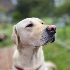 Profile image of Jami1000