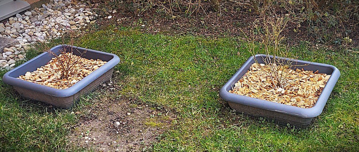 Vasi per fiori: 4x Pflanzencontainer Geli  Anthrazit inkl. Untersetzer – Usato da Rickenbach Sulz venduto da Sodeli23 9