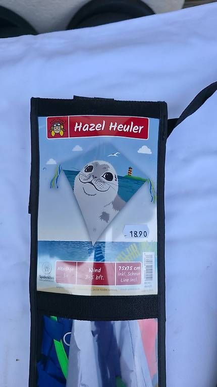 Giocattoli: Spiderkites Kinderdrachen Hazel Heuler 75x75 cm – Usato da Dornach venduto da IP5 1