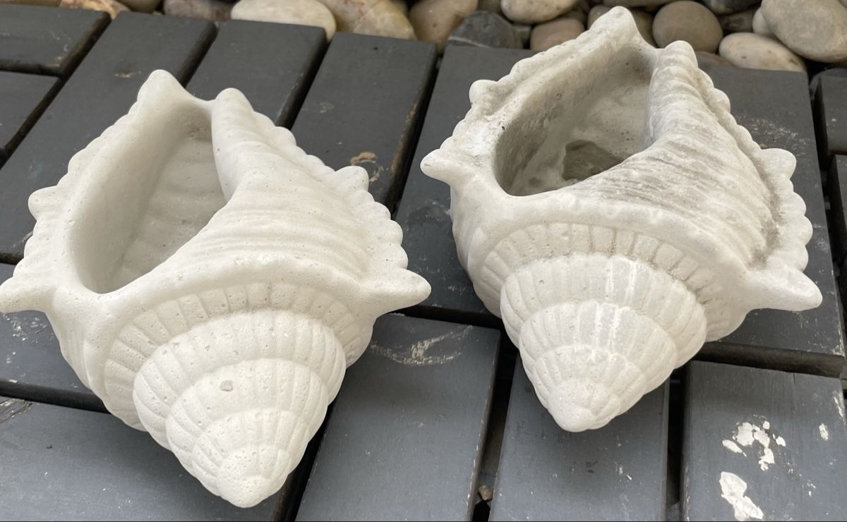 Vasi per fiori: Zwei Muschel-Pflanzgefässe Deko – Nuovo e nell'imballaggio originale da Au ZH venduto da Jaggy4