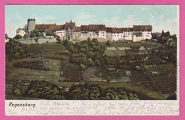 Regensberg gel 1903