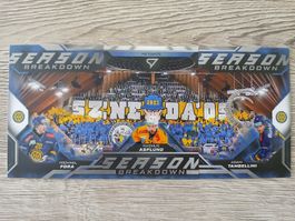 Eishockey Karte HC Davos Season Breakdown 
