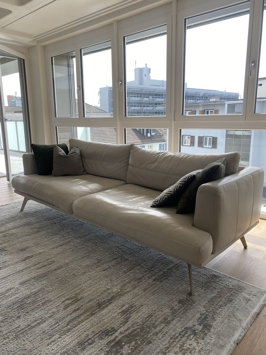 Sofas: Ledersofa in light gray – Gebraucht aus Winterthur von JasonHa