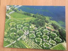 Alte Ansichtskarte Camping Gaienhofen  am Bodensee