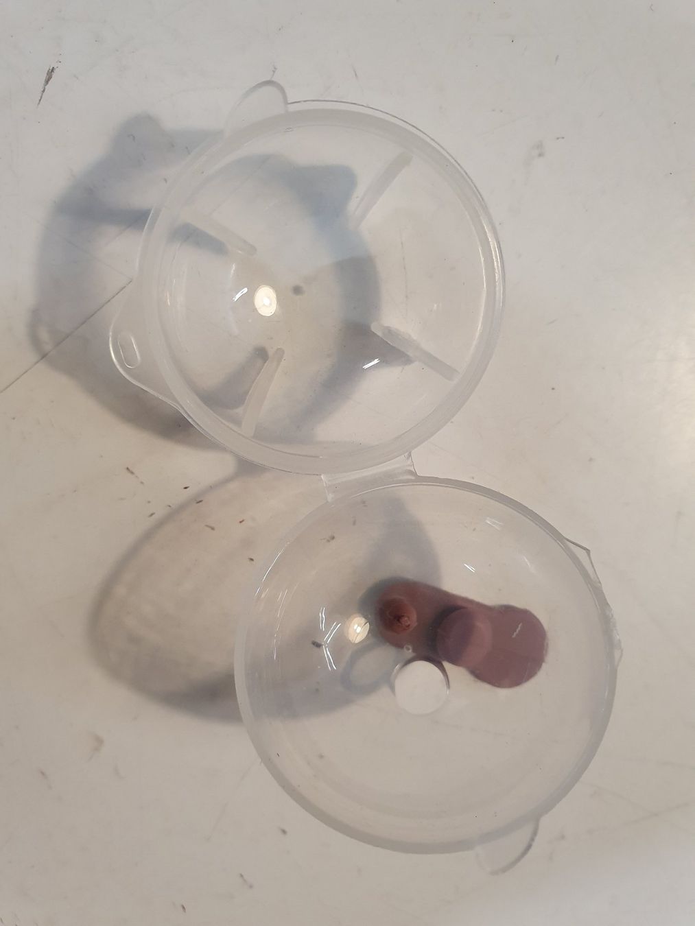 Bicchieri: 7 Stk Glasaugenbehälter – Usato da Zürich venduto da loosebone 4