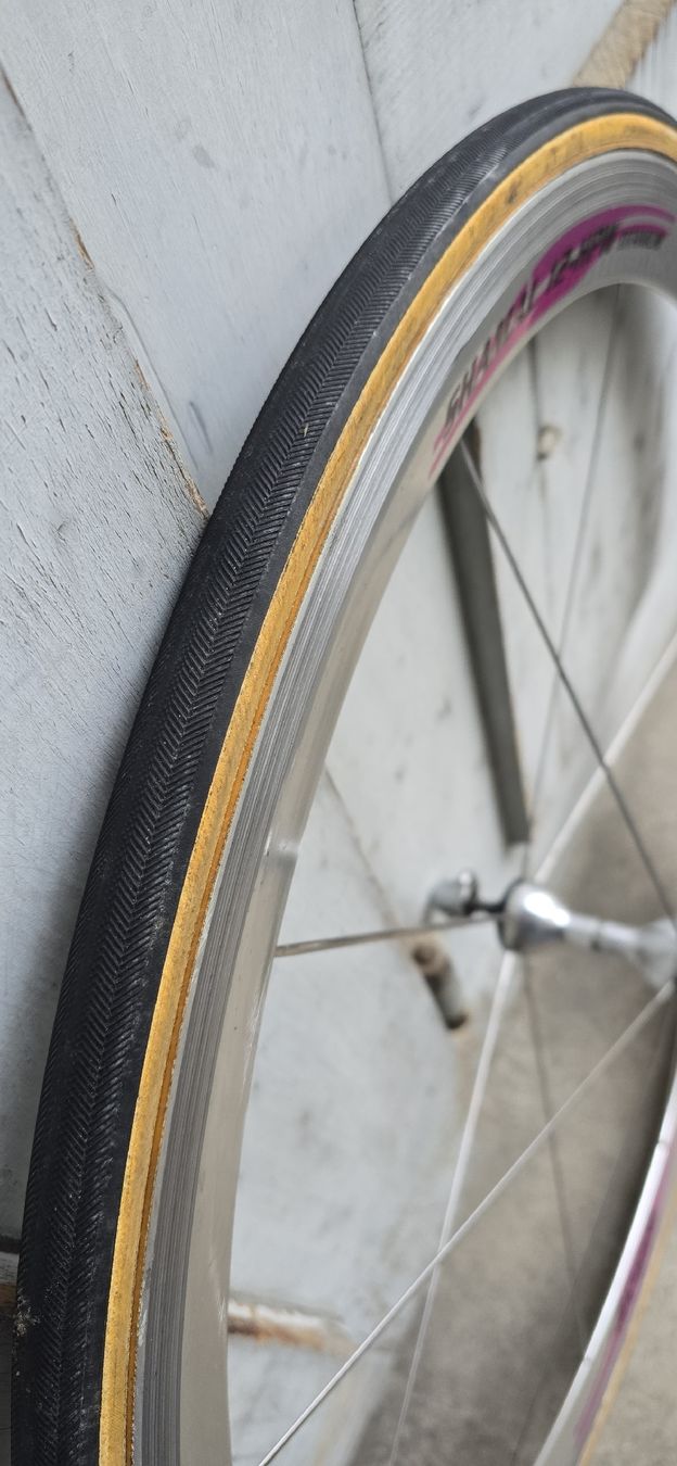 Campagnolo Pezzi di ricambio: Campagnolo Shamal Titanium – Usato da basel venduto da Propain 7