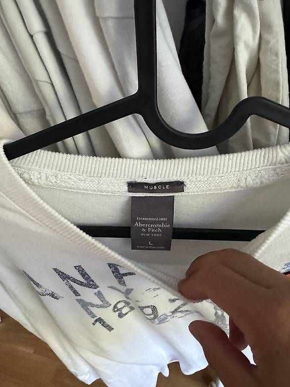 Maglioni & Felpe: Abercrombie Fitch Pullover – Usato da St. Gallen venduto da rechsteinersell 1