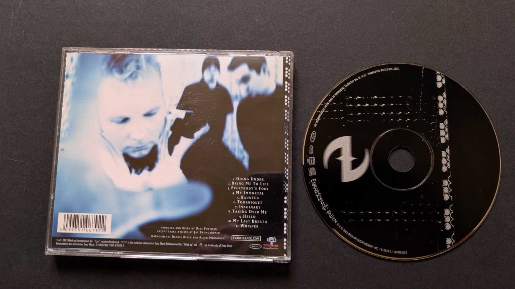 CDs: Evanescene | Fallen | CD – D'occasion à Bottmingen par dan_c5wb 1