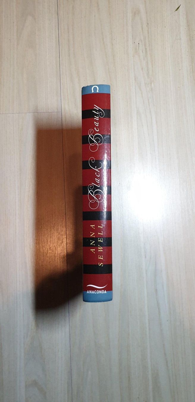 Bücher: Black Beauty – Gebraucht aus Dierikon von Jolie 1