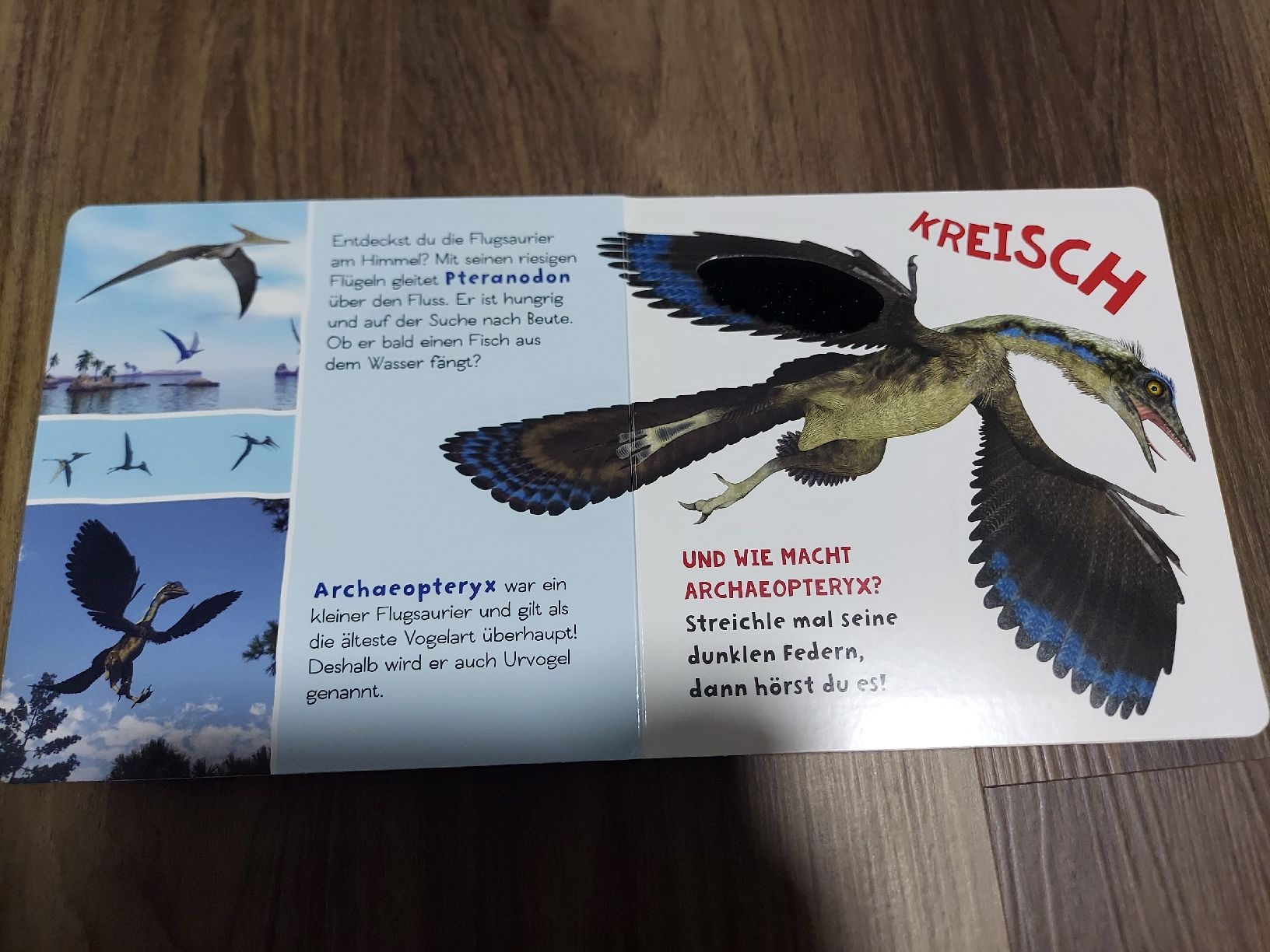 Libri: Soundbuch Dinosaurier: Entdecke die Urzeit – Usato da Altishofen venduto da tammy05 2