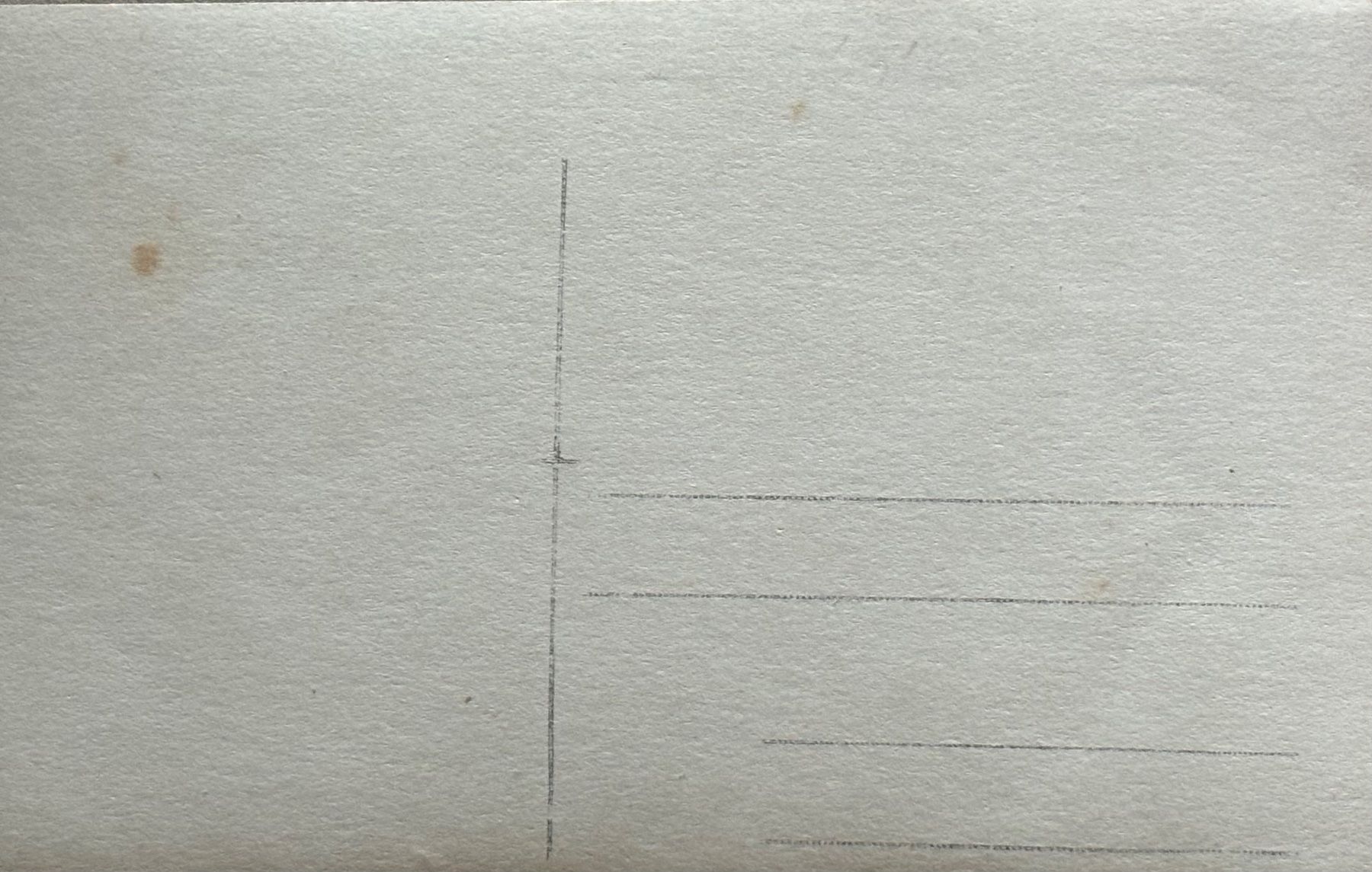 Cartoline postali: Fotokarte, Kinderwagen – Usato da Frauenfeld venduto da Merk52 1