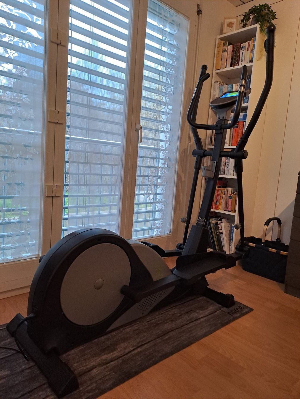Hometrainer: Crosstrainer – Usato da Winterberg ZH venduto da MeliRi80 1