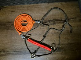Knotenhalfter Zügel Set Cob