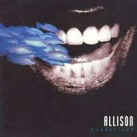 Allison – Wonderland - Rare vergriffene Swiss Hard Rock