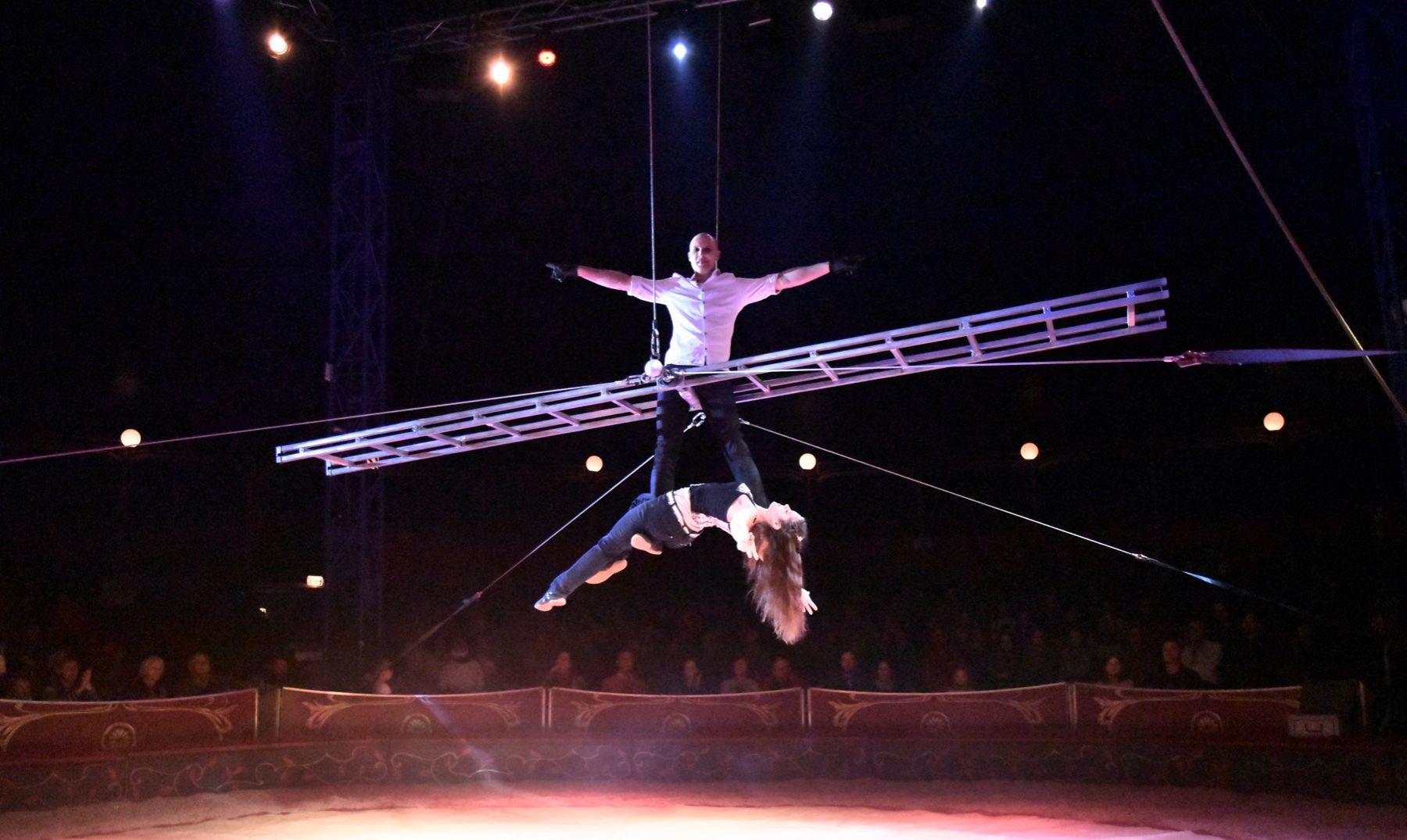 Scale: Luftakrobatik Leiter für Zirkus – Usato da Mühlrüti venduto da DivaMara 8