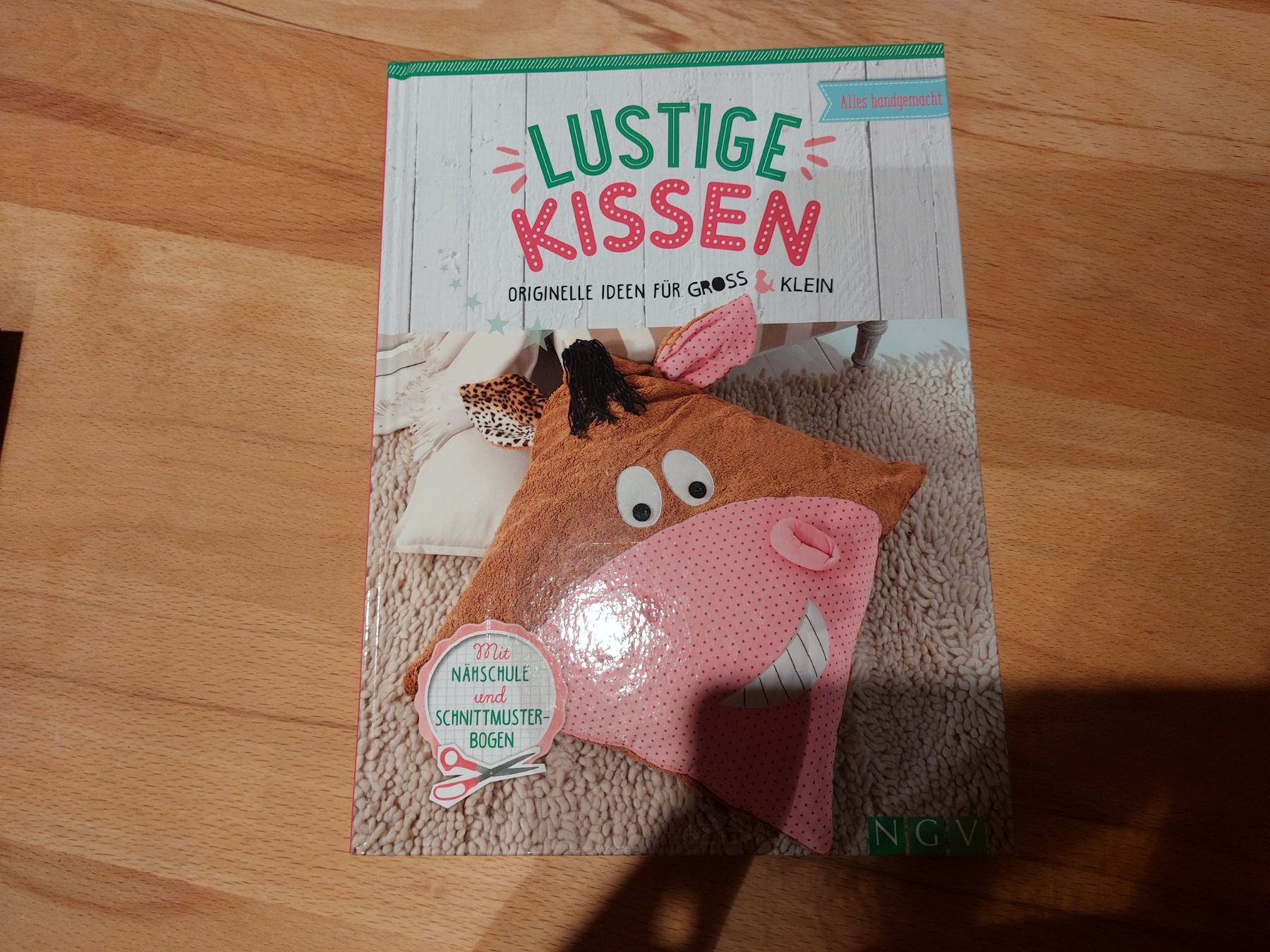 Coussins: Lustige Kissen – D'occasion à Hunzenschwil par jac_rwn7
