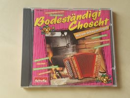 Bodeständigi Choscht mit em Schwyzerörgeli