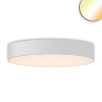 LED Deckenleuchte, DALI fähig, 80 cm Ø