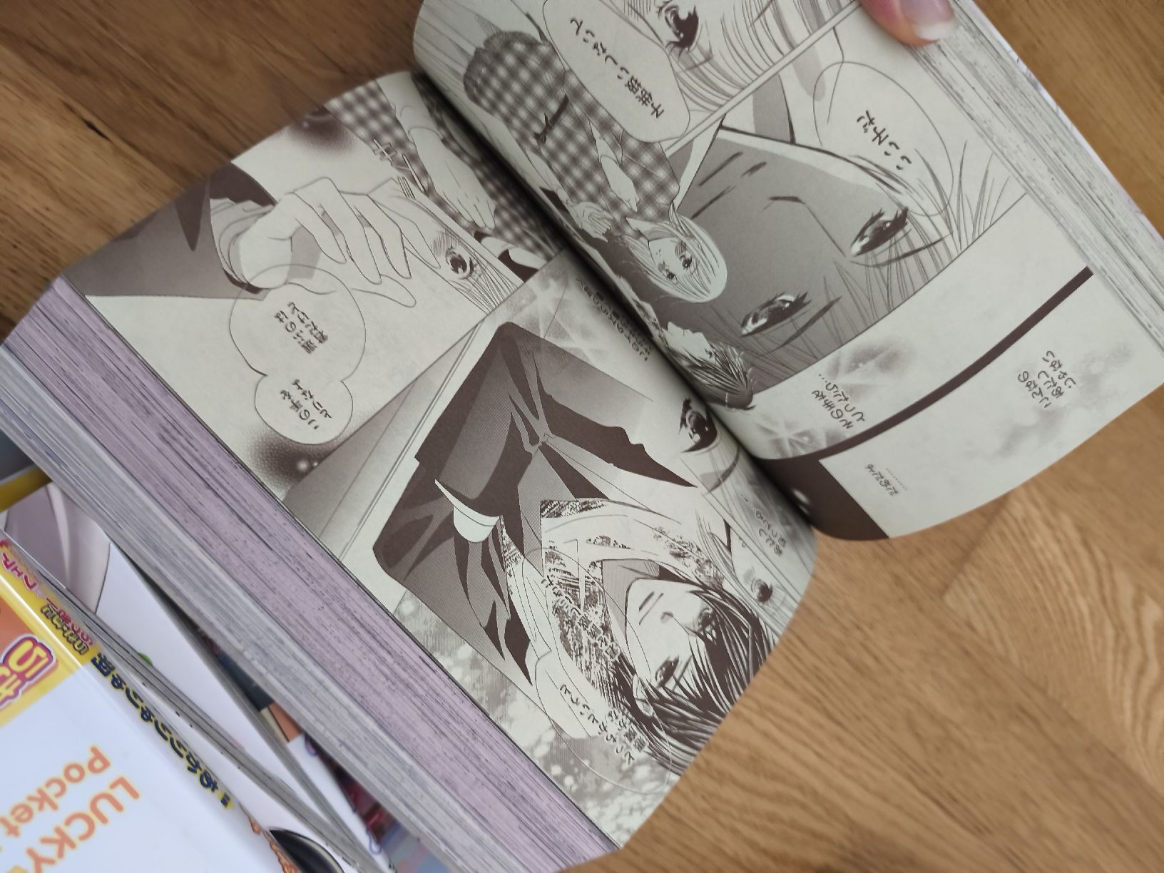 Comics: Manga-Sammlung japanisch – Gebraucht aus Näfels von ChocolateMuffin 3
