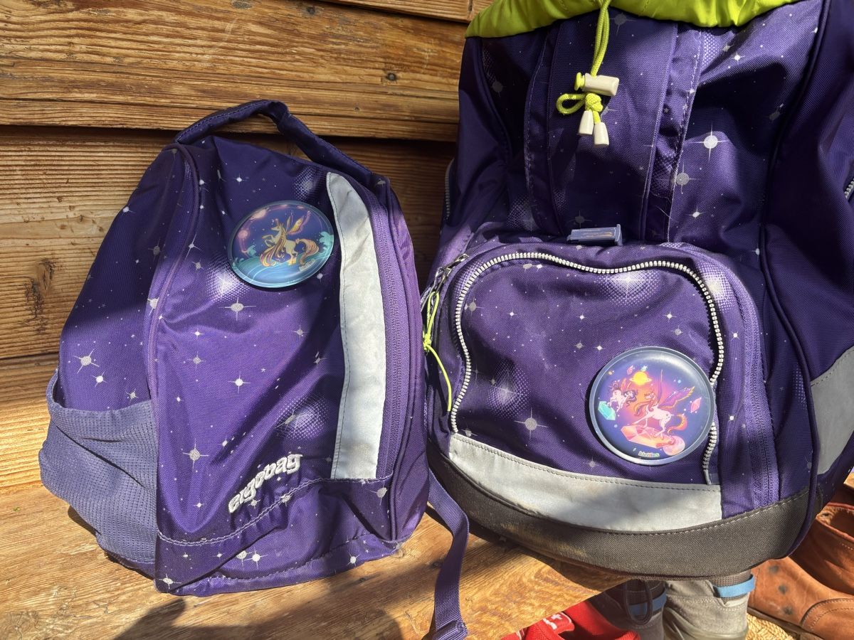 Ergobag Zaini: Ergonomischer Schulranzen, ergobag lila, Set – Usato da Meiringen venduto da enilorac2000 1