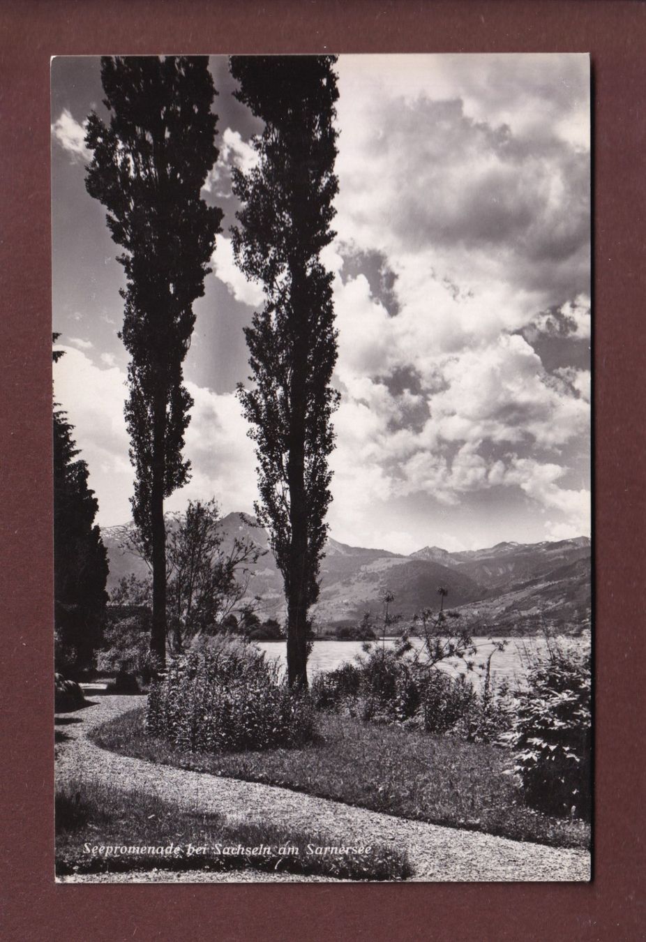 Cartoline postali: Seepromenade bei SACHSELN am Sarnersee – Usato da Pully venduto da nicecards