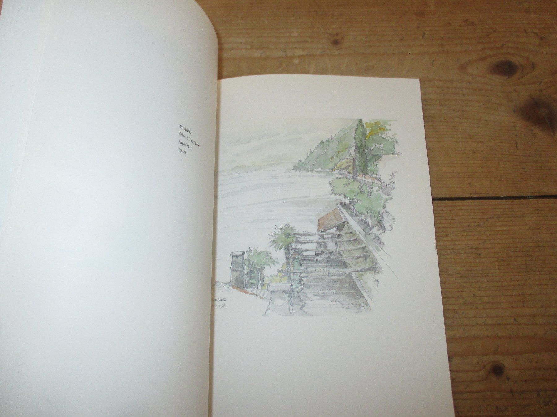 Libri: Der Architekt Alexander von Branca – Usato da Flims - Dorf venduto da Stagediver 8