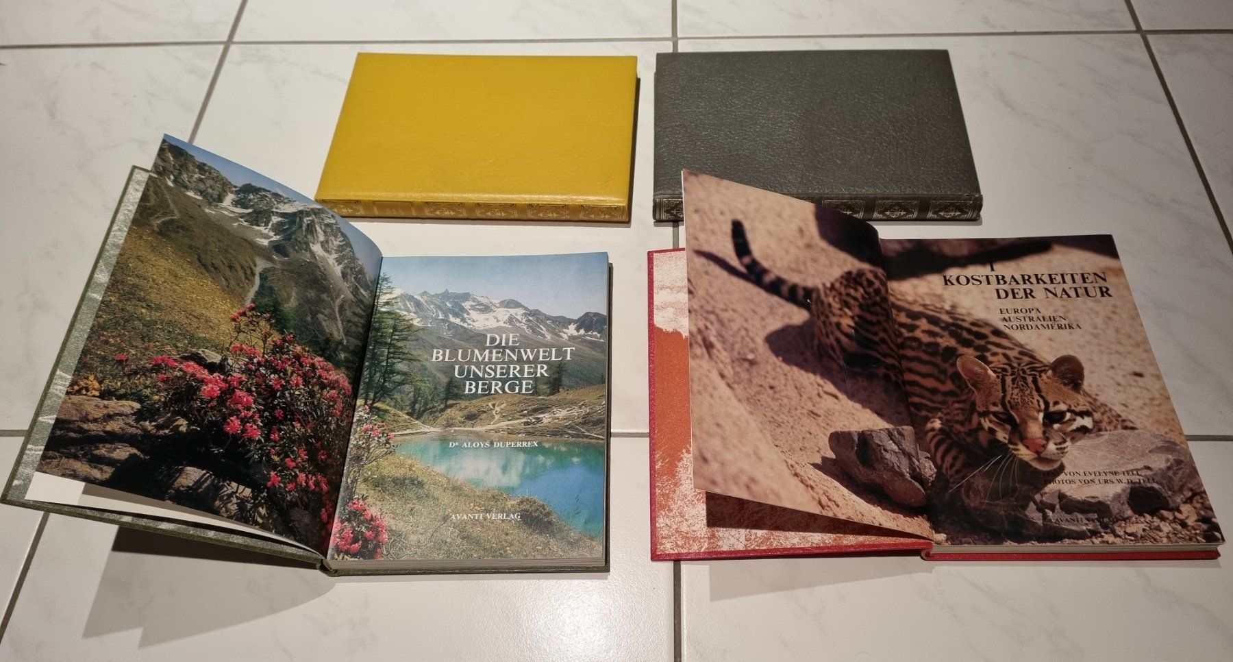 Libri: Schöne, ältere Bücher / Avanti Verlag – Usato da Nottwil venduto da Janny77 4