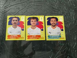 WM 2026 - Panini - New Zealand