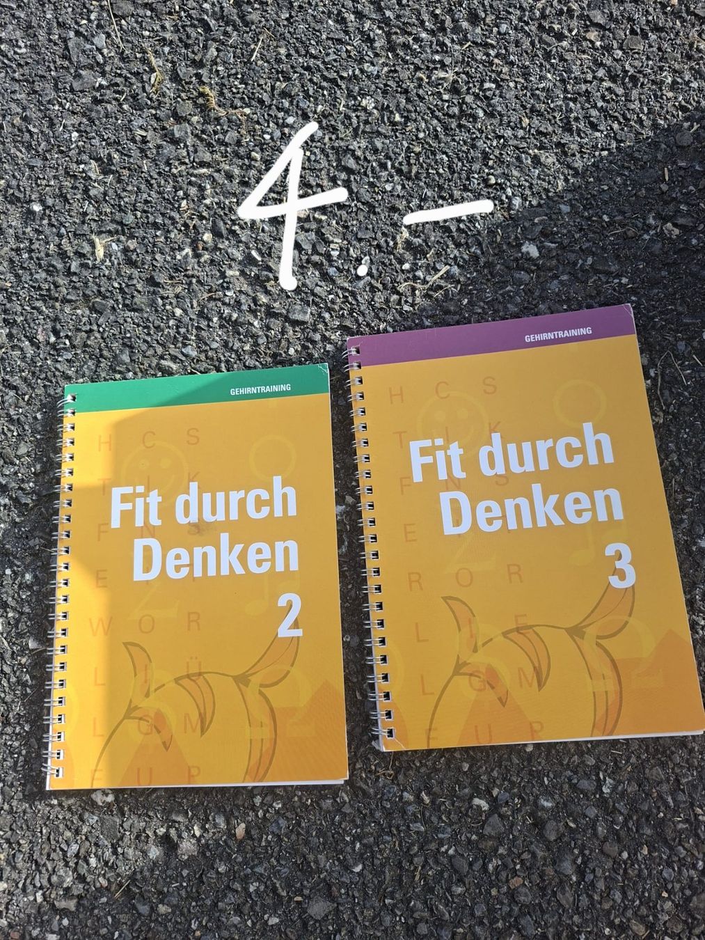 Libri: Fit durch Denken 2 und 3 – Usato da Schmiedrued venduto da lau_5zch