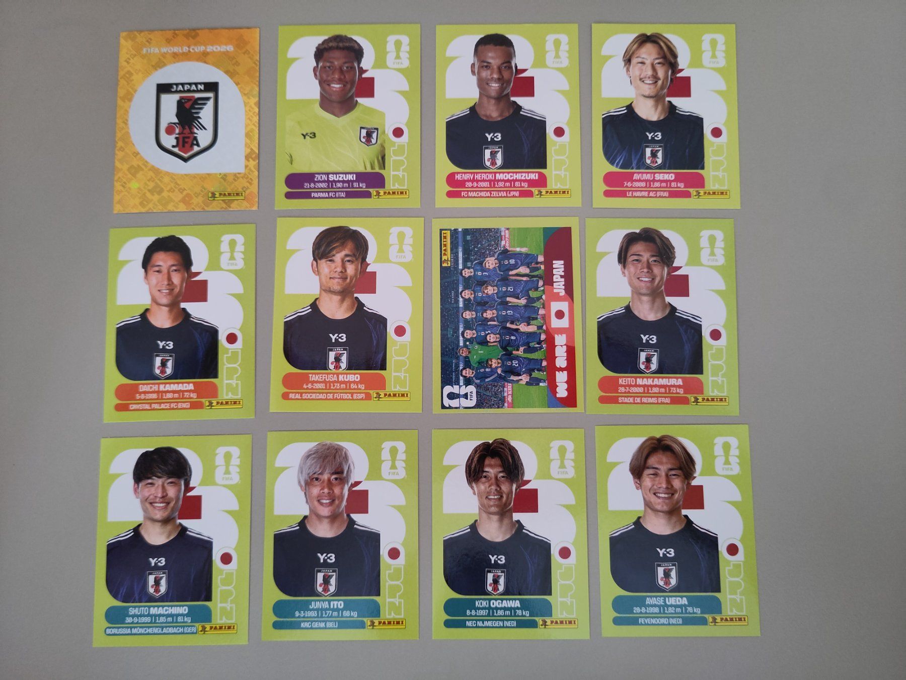 Panini Carte collezionabili: FIFA Panini Japan (JPN) – Usato da Bern venduto da gil_rkx8