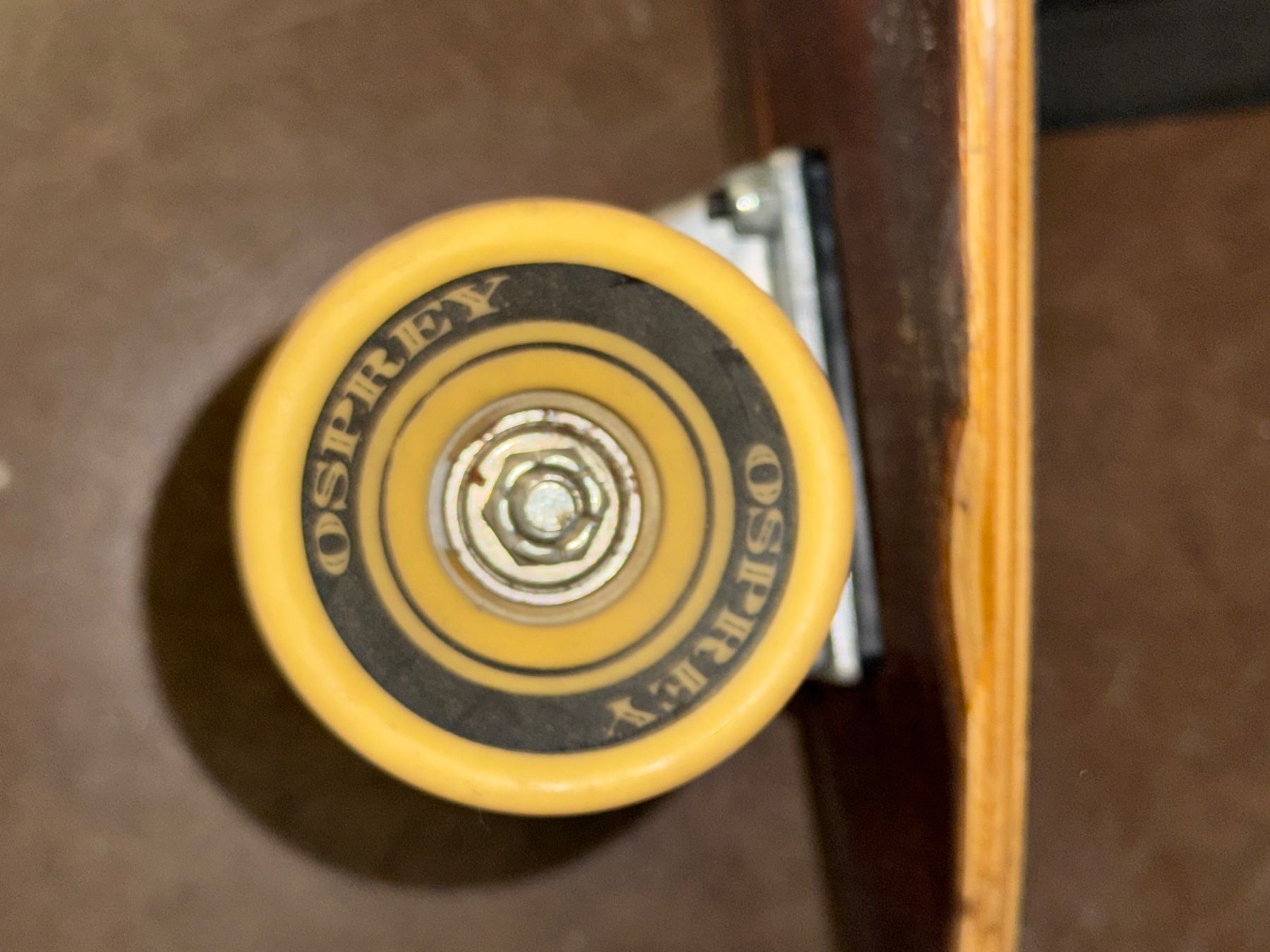 Skateboards: Osprey Skateboard – Usato da Zürich venduto da AnthonyPrimi 2
